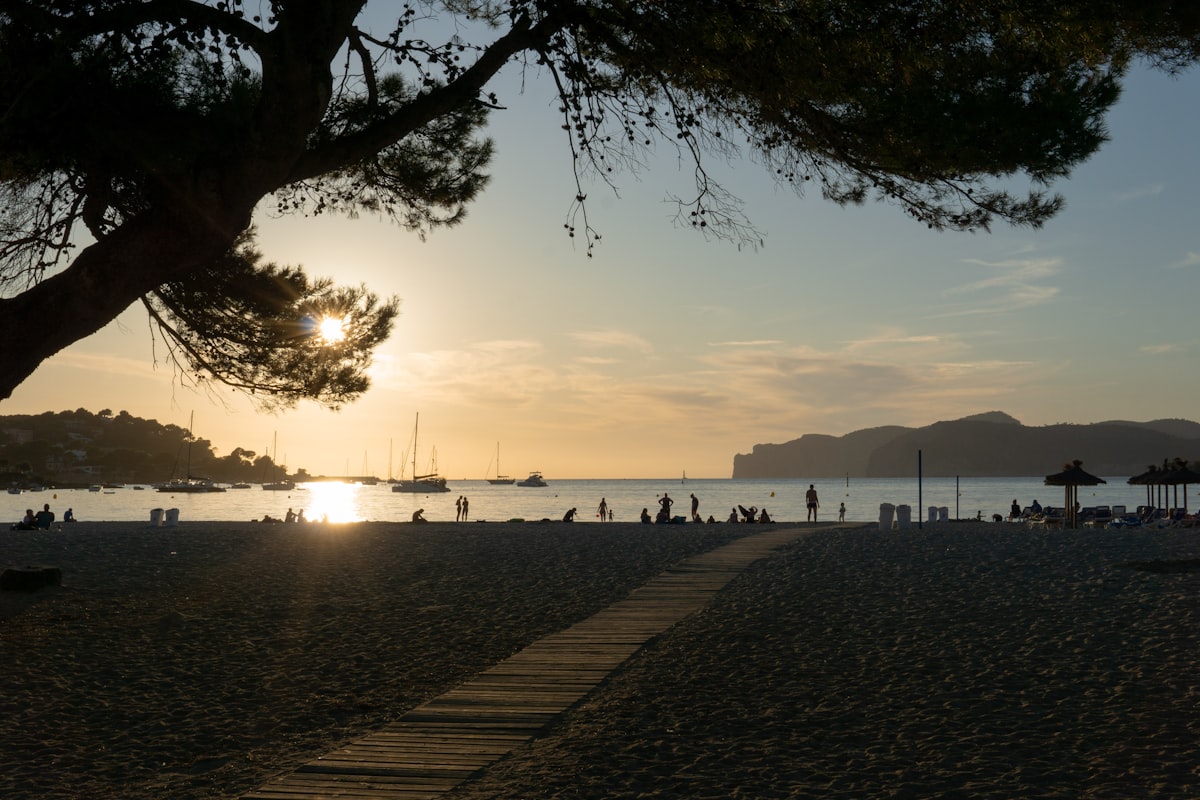Strand und Küste von Santa Ponsa im Südwesten Mallorcas