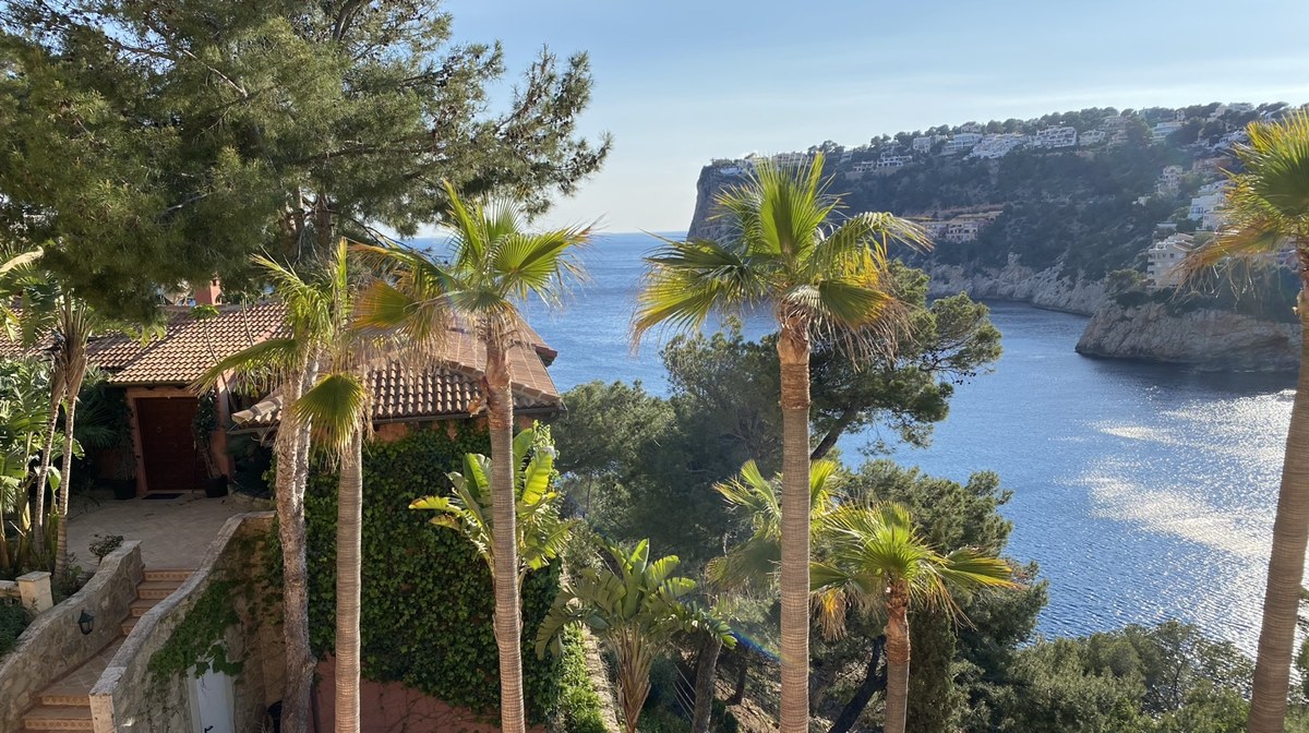 Mallorca Immobilie mit Meerblick und Palmen